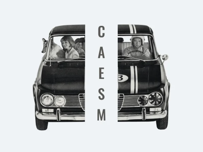 CAESM