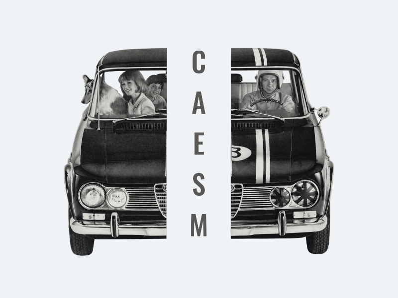 CAESM